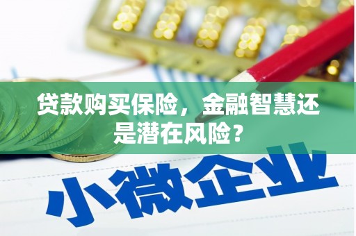 二七贷款购买保险，金融智慧还是潜在风险？