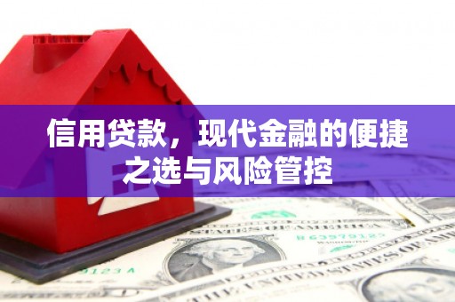 二七信用贷款，现代金融的便捷之选与风险管控