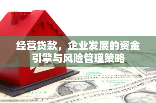 二七经营贷款，企业发展的资金引擎与风险管理策略