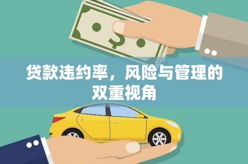 二七贷款违约率，风险与管理的双重视角