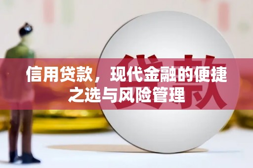 二七信用贷款，现代金融的便捷之选与风险管理