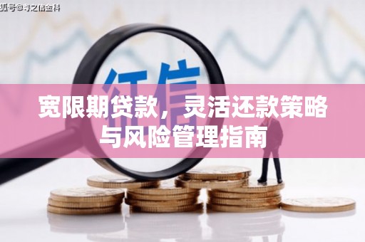 二七宽限期贷款，灵活还款策略与风险管理指南