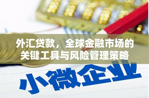 二七外汇贷款，全球金融市场的关键工具与风险管理策略