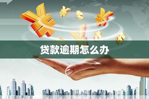 二七贷款逾期怎么办