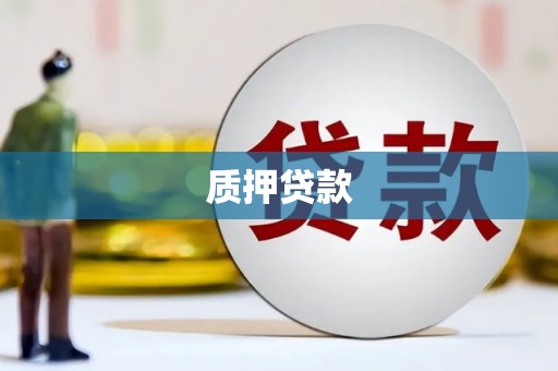 二七质押贷款