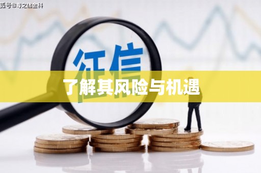二七了解其风险与机遇