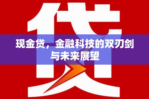二七现金贷，金融科技的双刃剑与未来展望