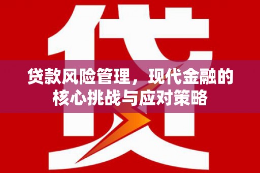 二七贷款风险管理，现代金融的核心挑战与应对策略