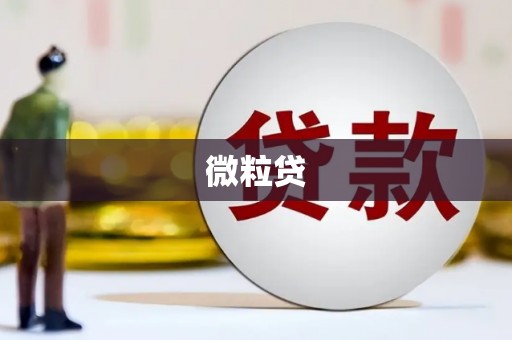 二七微粒贷