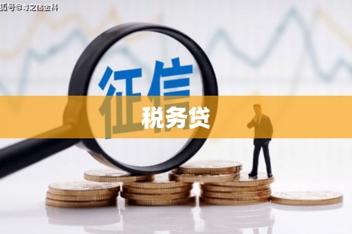 二七税务贷