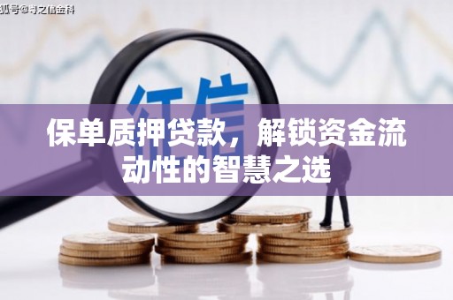 二七保单质押贷款，解锁资金流动性的智慧之选
