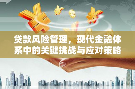 二七贷款风险管理，现代金融体系中的关键挑战与应对策略