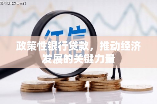 二七政策性银行贷款，推动经济发展的关键力量