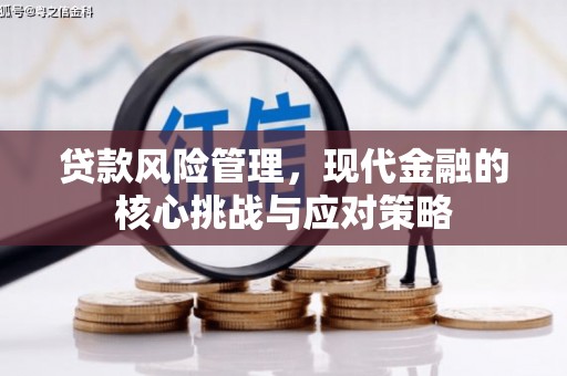 二七贷款风险管理，现代金融的核心挑战与应对策略