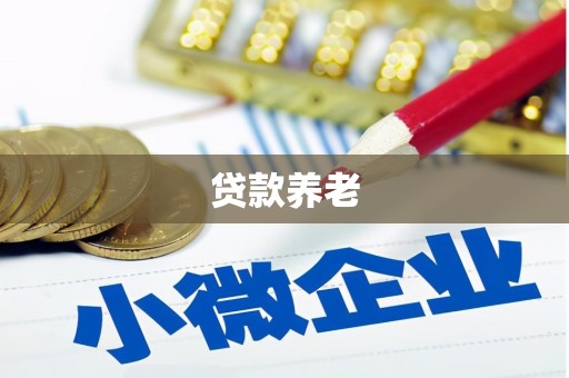 二七贷款养老