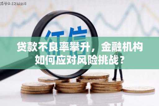 二七贷款不良率攀升，金融机构如何应对风险挑战？