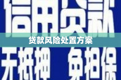 二七贷款风险处置方案