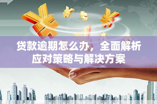 二七贷款逾期怎么办，全面解析应对策略与解决方案