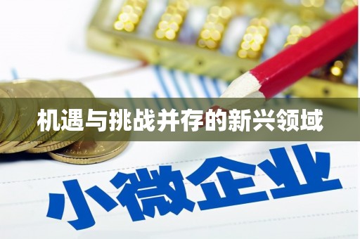 二七机遇与挑战并存的新兴领域