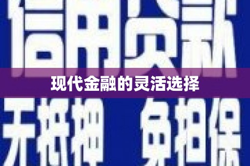 二七现代金融的灵活选择